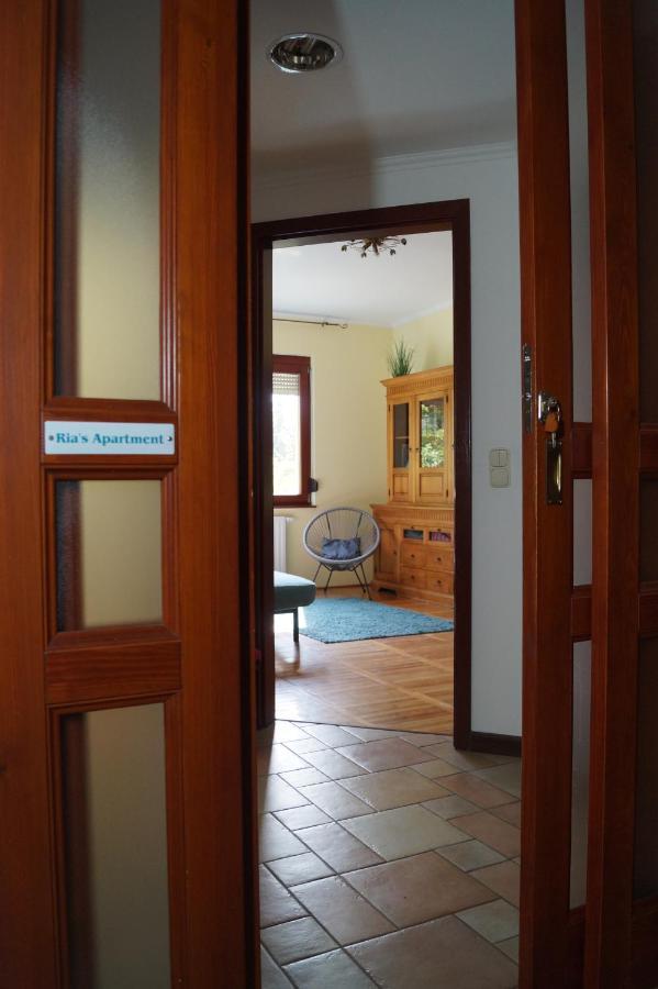 Ria'S Apartment Βουδαπέστη Εξωτερικό φωτογραφία
